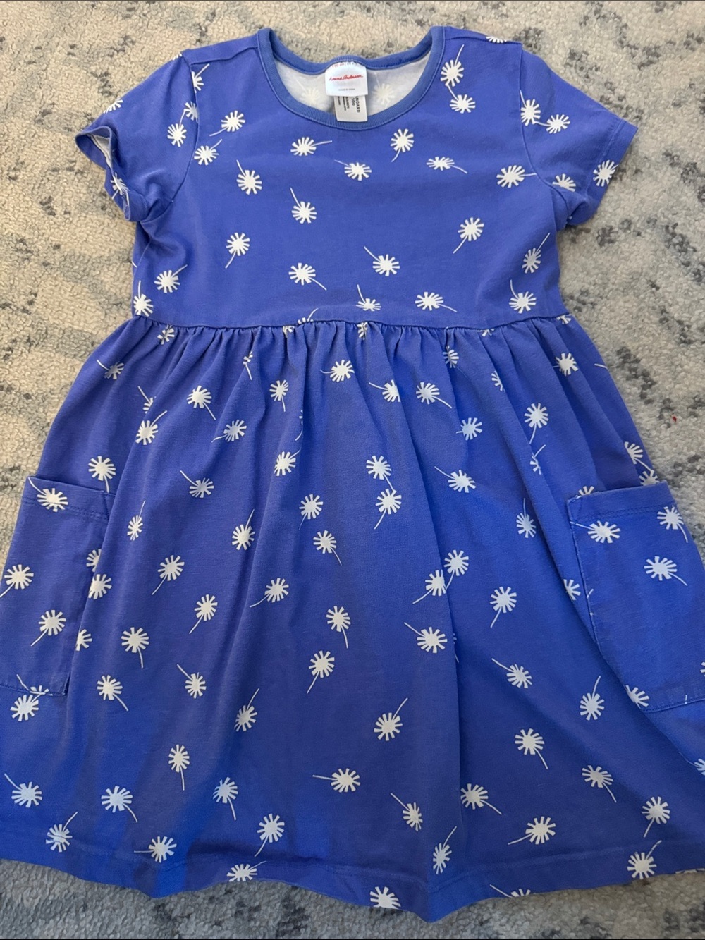 Hanna Anderson Children's Blue dandelion Pocket Dress